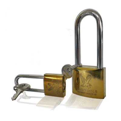 25gtl_913754453_50081718